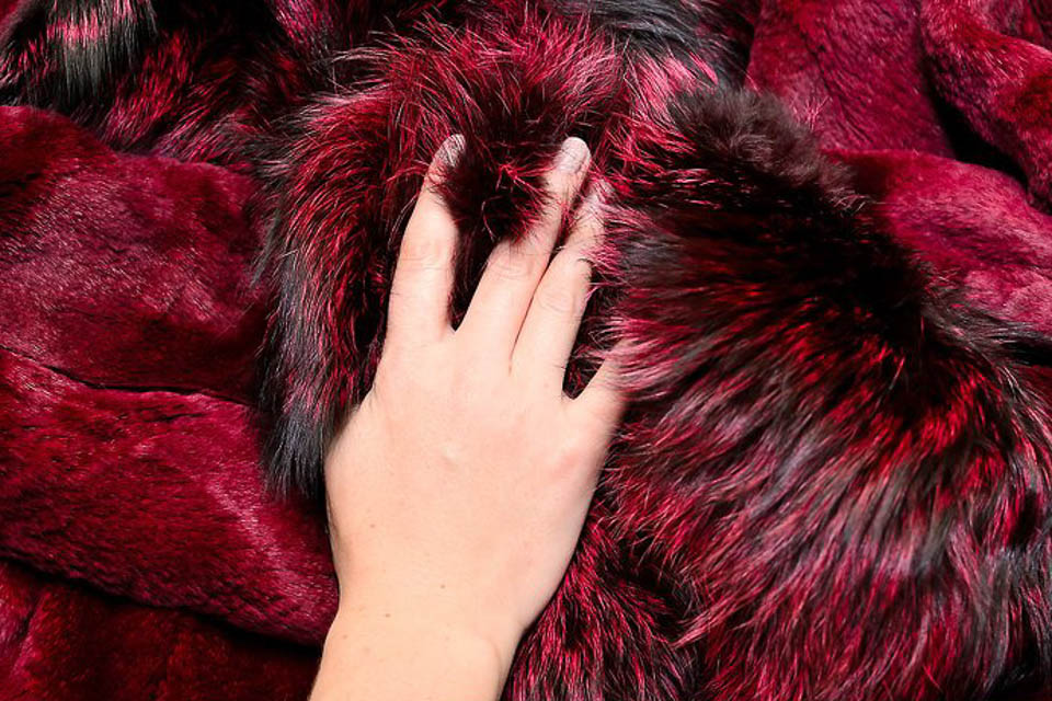 Мех песца и чернобурки. Опушка песец. Песец и чернобурка отличия меха. Мех песца. Как отличить мех песца.